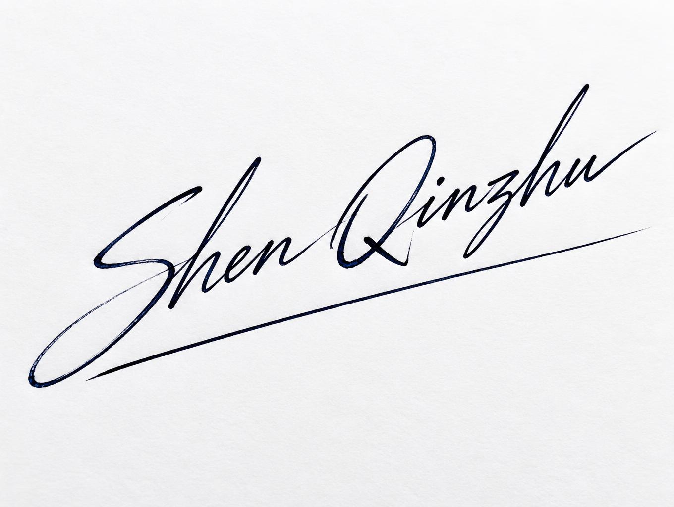 "Shen Qinzhu" — Cursive Signature text effect