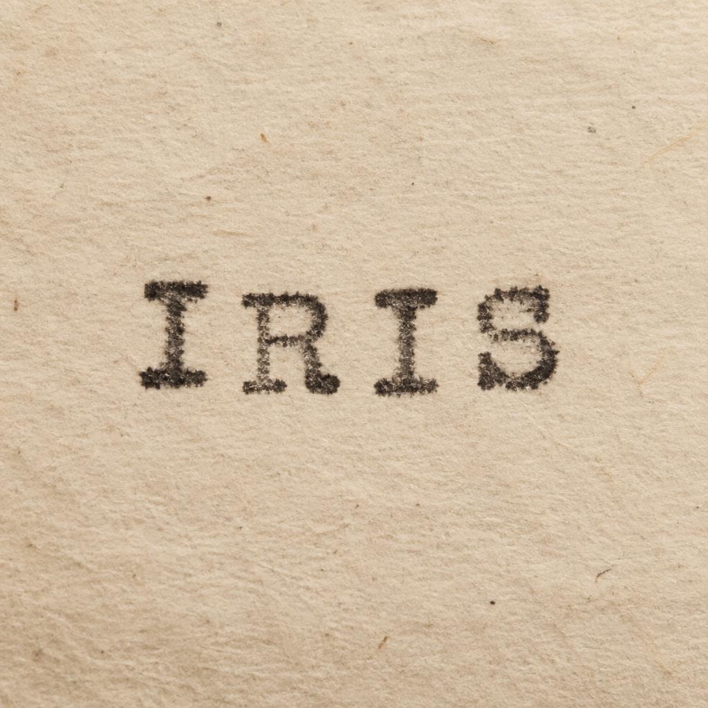 "IRIS" — Typewriter text effect
