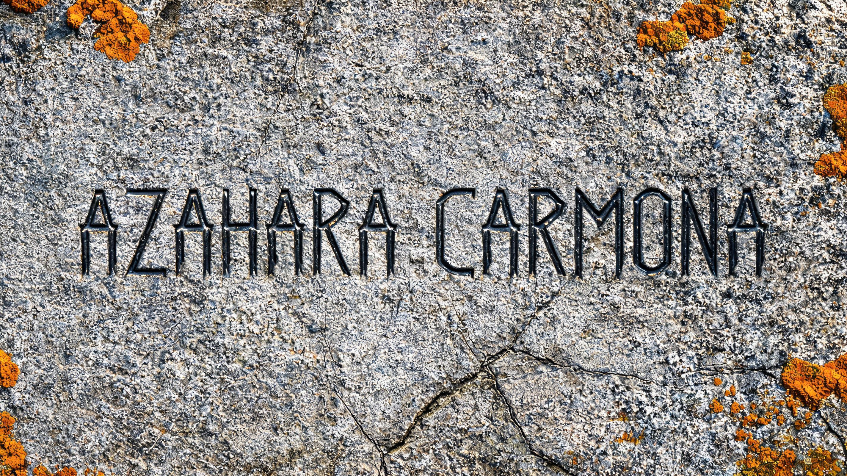 "Azahara Carmona" — Viking | AI Text Effect Generator