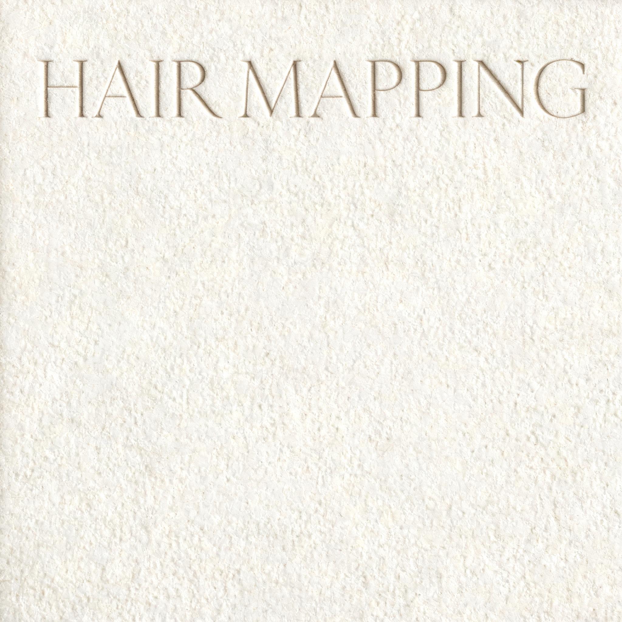 "HAIR MAPPING" — Emboss | AI Text Effect Generator