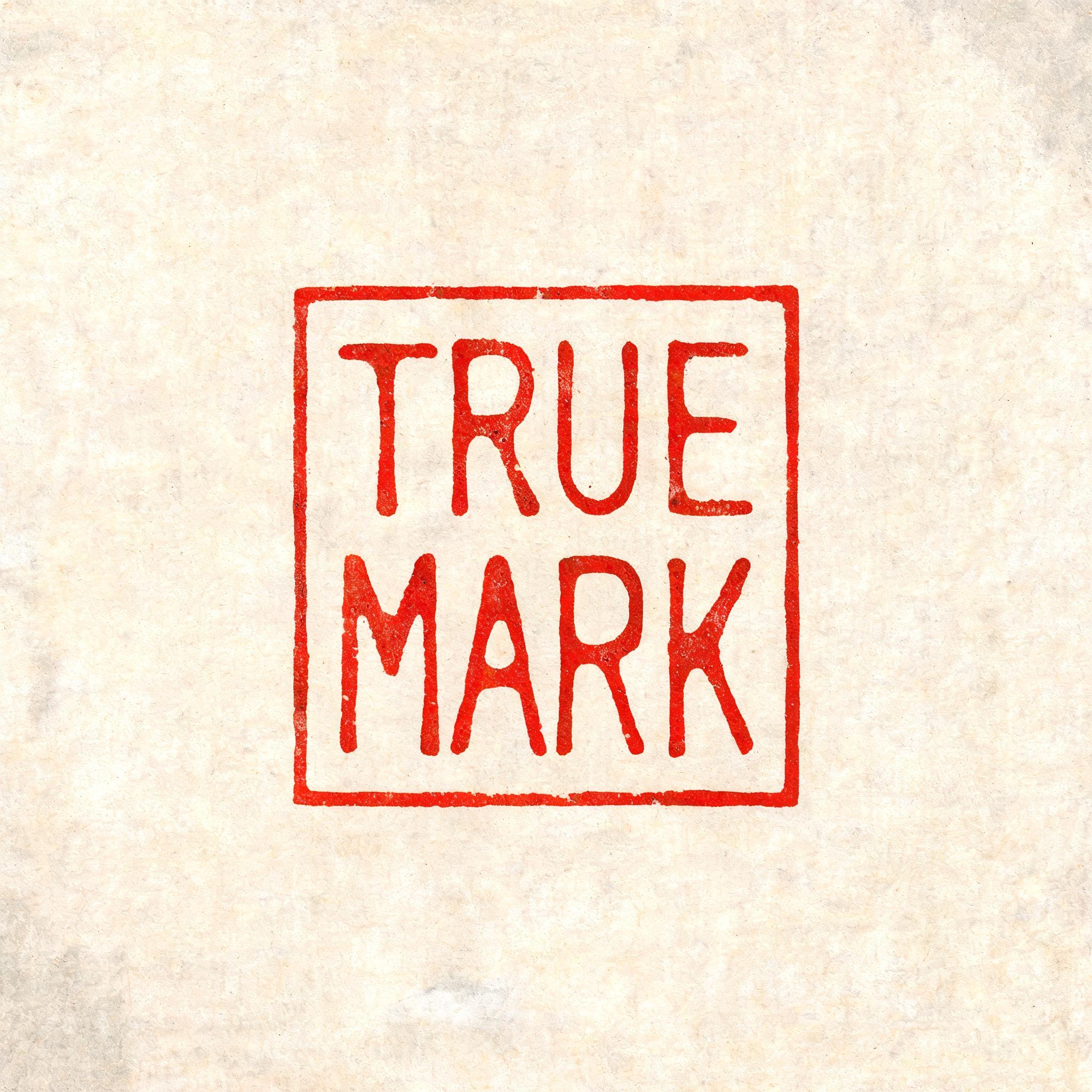 "TRUE MARK" — Brush Chinese Ink | AI Text Effect Generator