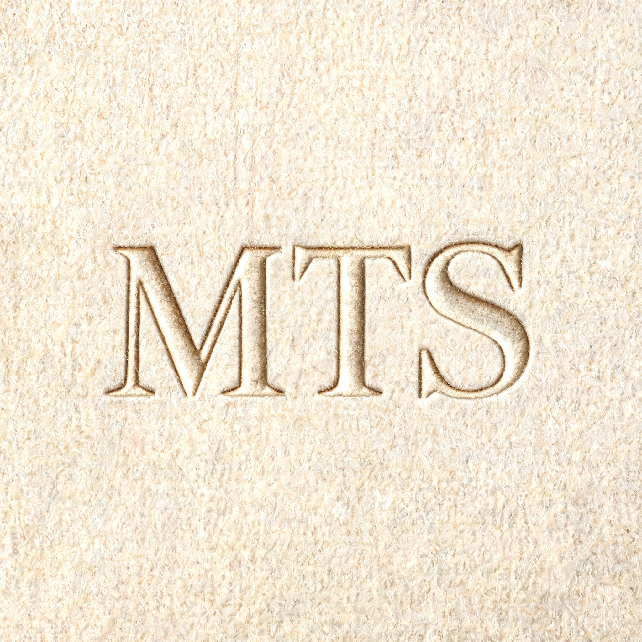 "MTS" — Emboss | AI Text Effect Generator