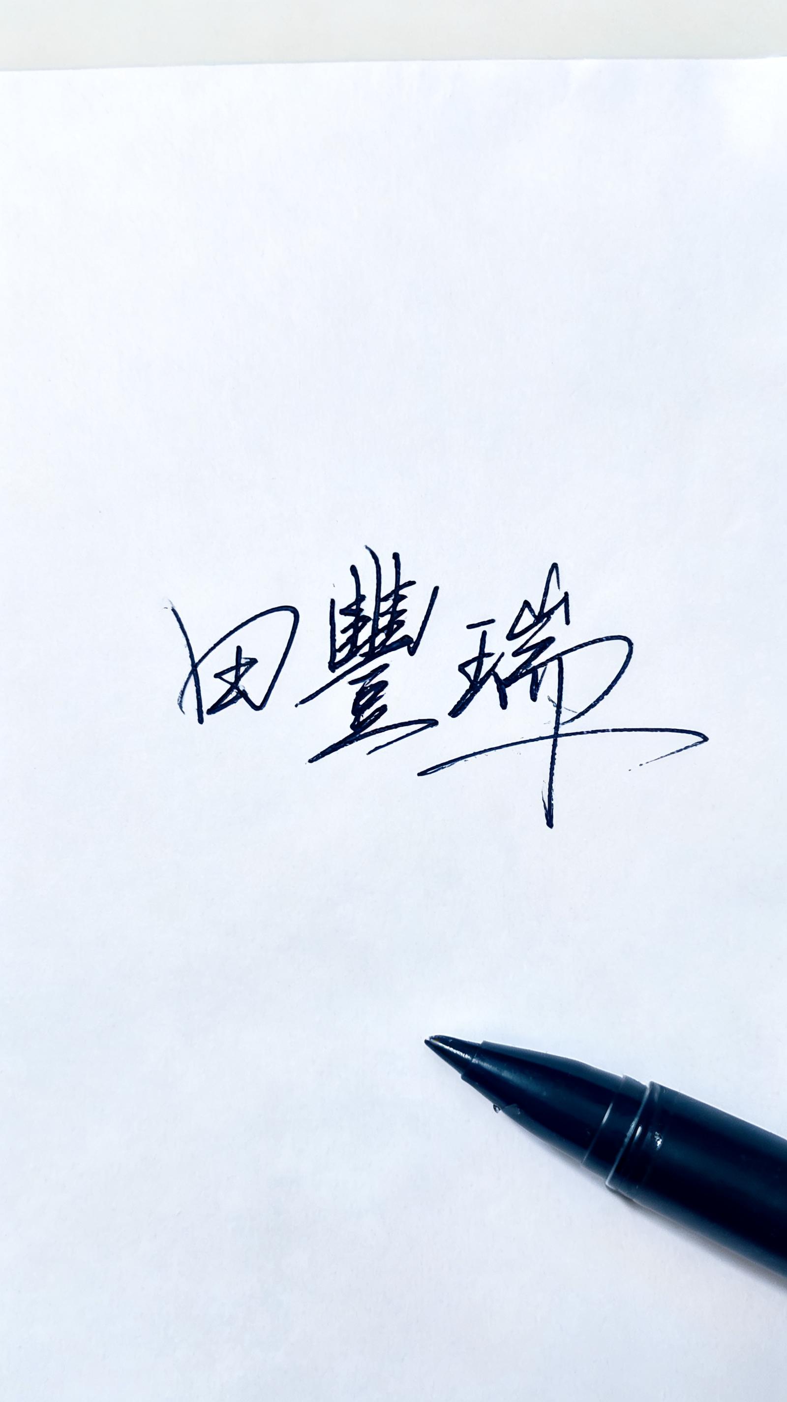 "田豐瑞" — Cursive Signature text effect