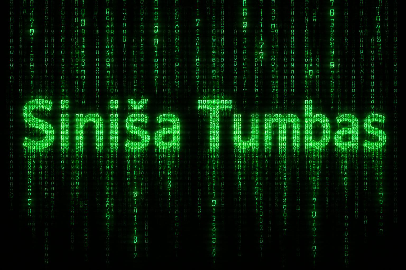 "Siniša Tumbas" — Cyberpunk Data Stream | AI Text Effect Generator