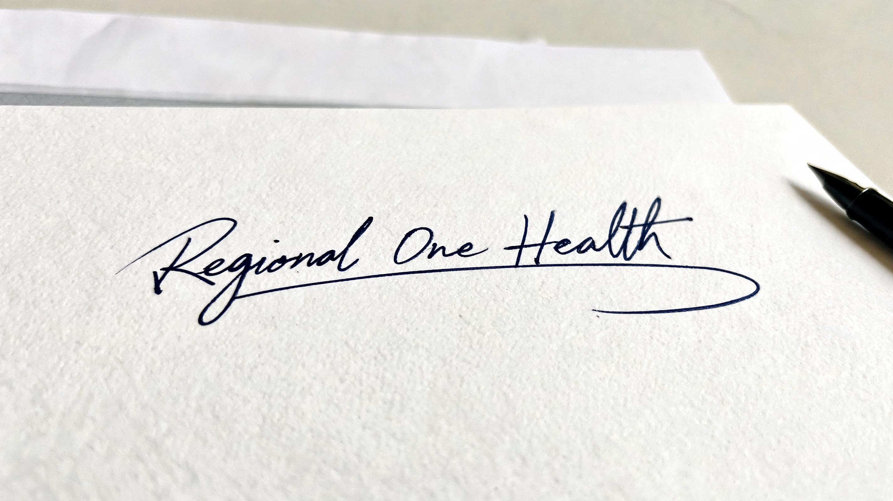 "Regional One Health" — Cursive Signature | AI Text Effect Generator