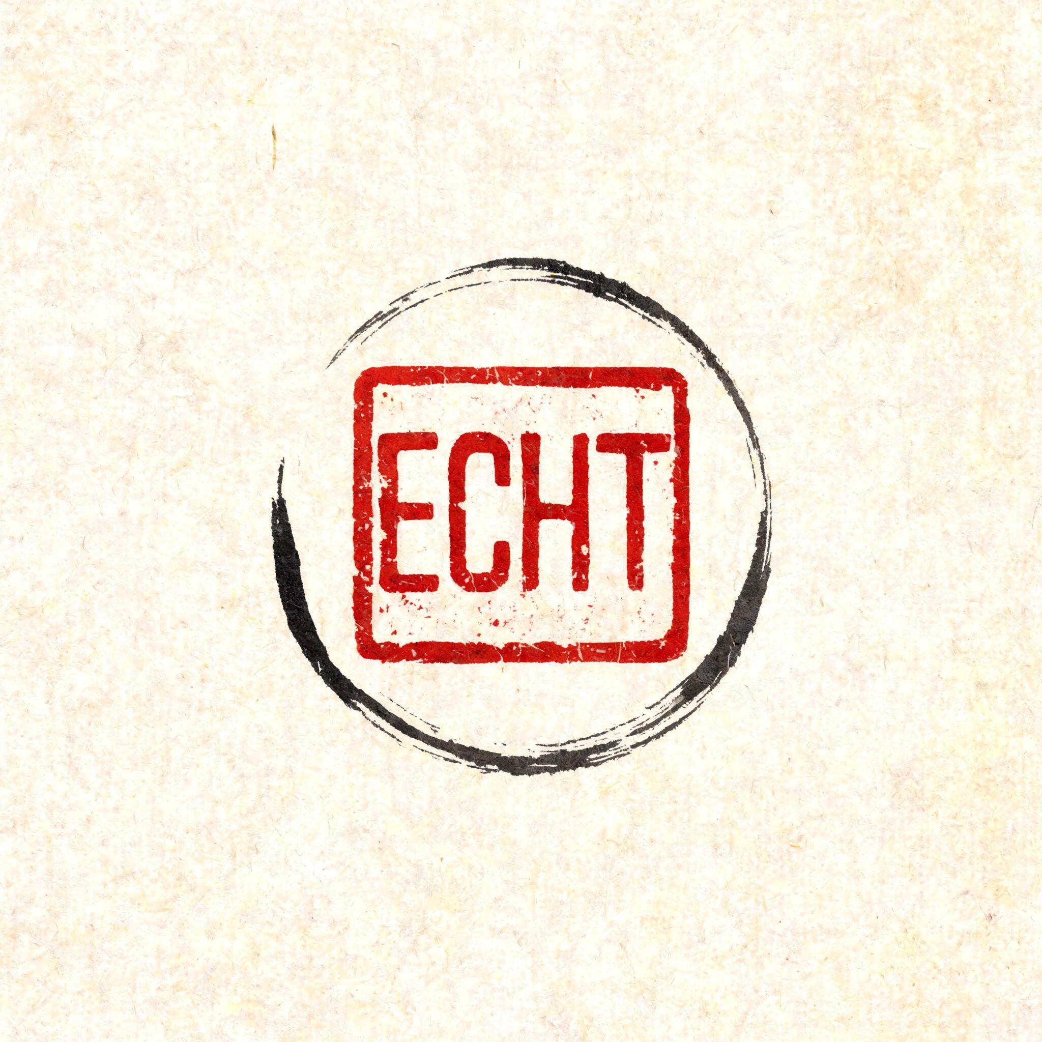 "Echt" — Brush Chinese Ink | AI Text Effect Generator