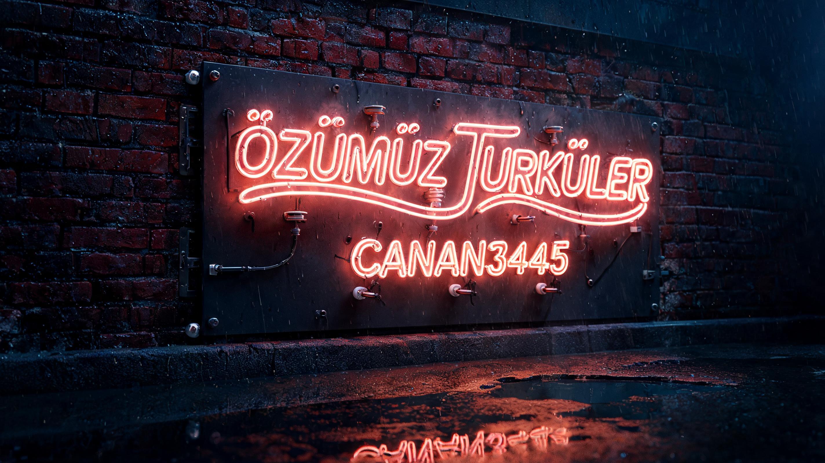 ÖZÜMÜZ TÜRKÜLER
CANAN3445