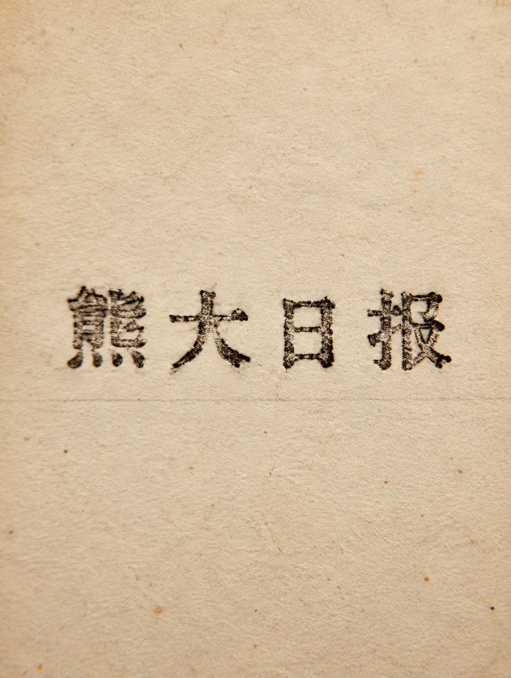 "熊大日报" — Typewriter text effect