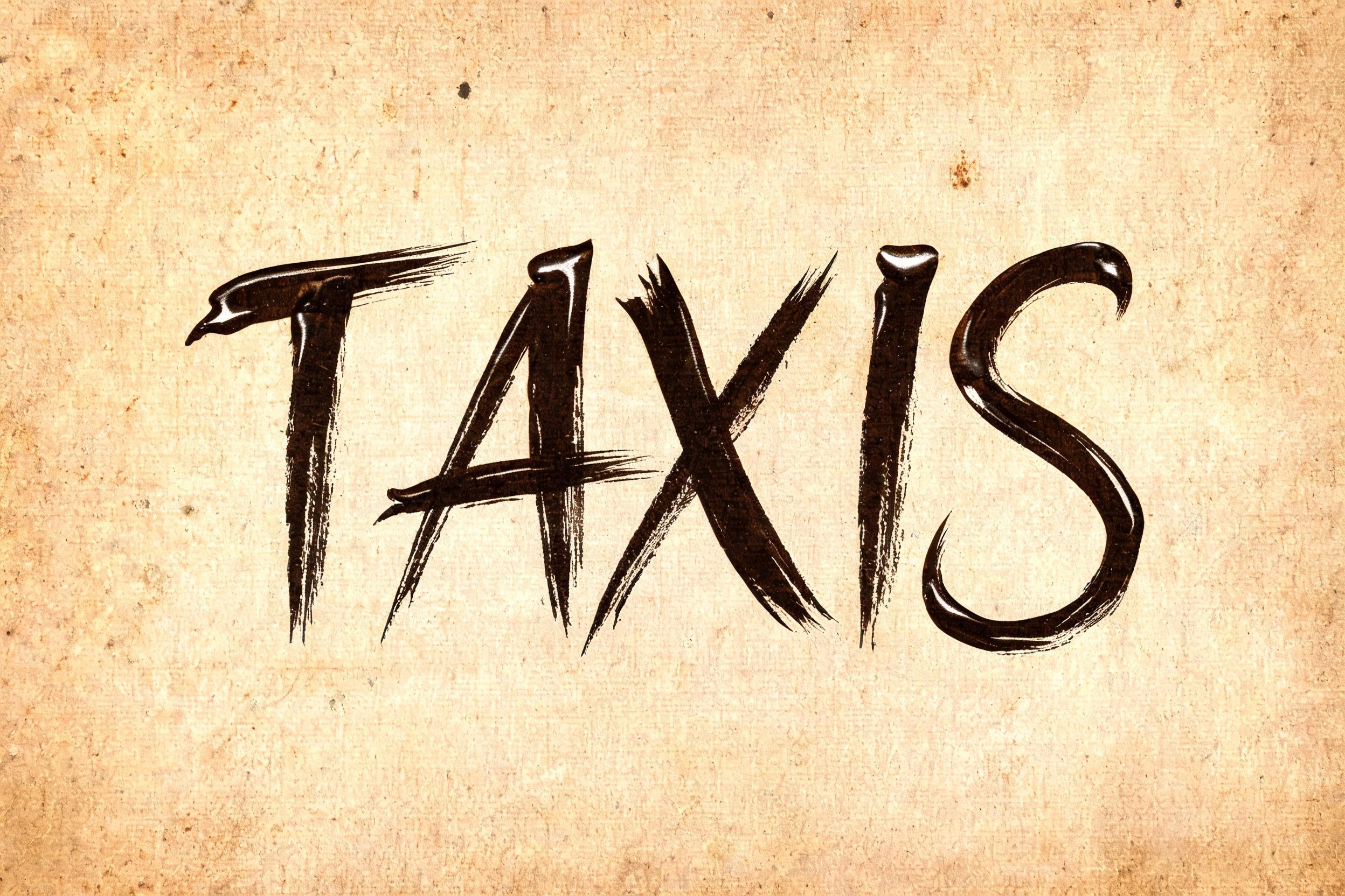 "TAXIS" — Brush Stroke | AI Text Effect Generator