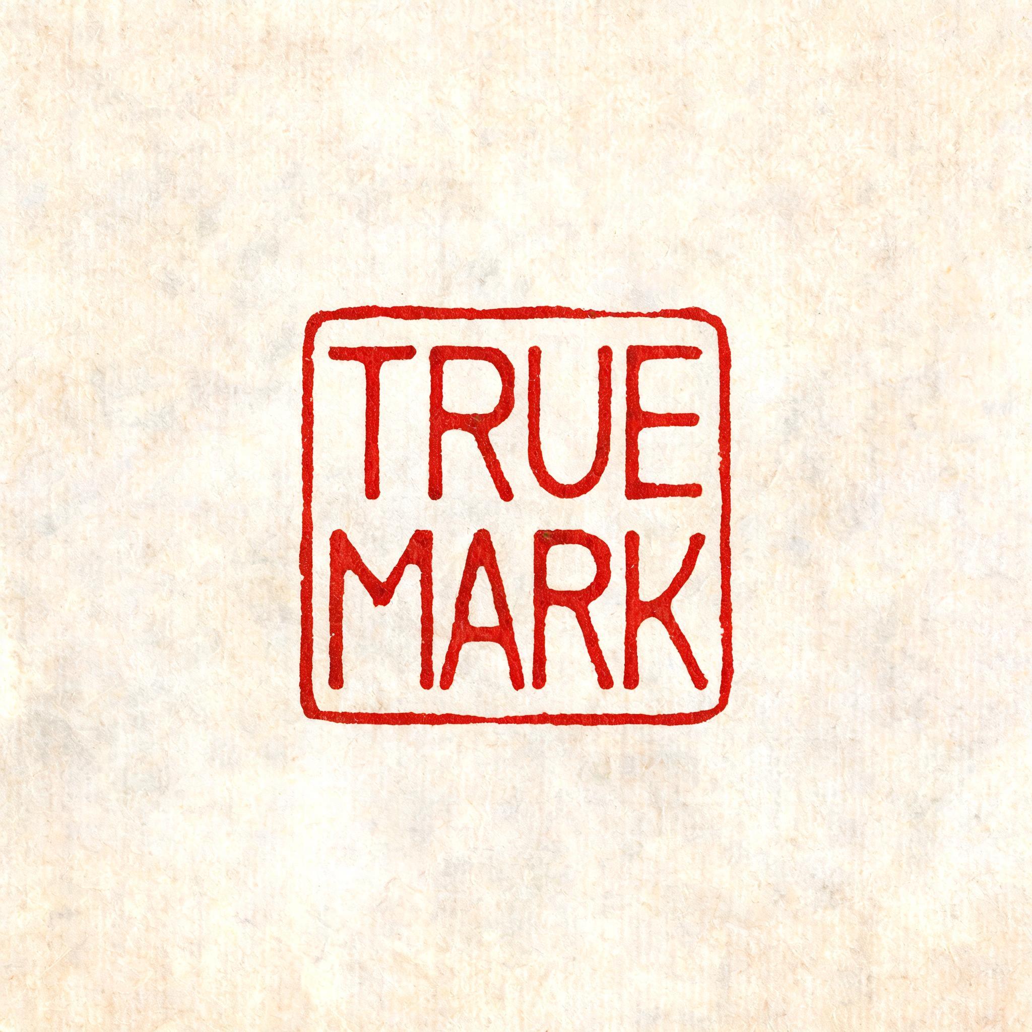 "TRUE MARK" — Brush Chinese Ink | AI Text Effect Generator