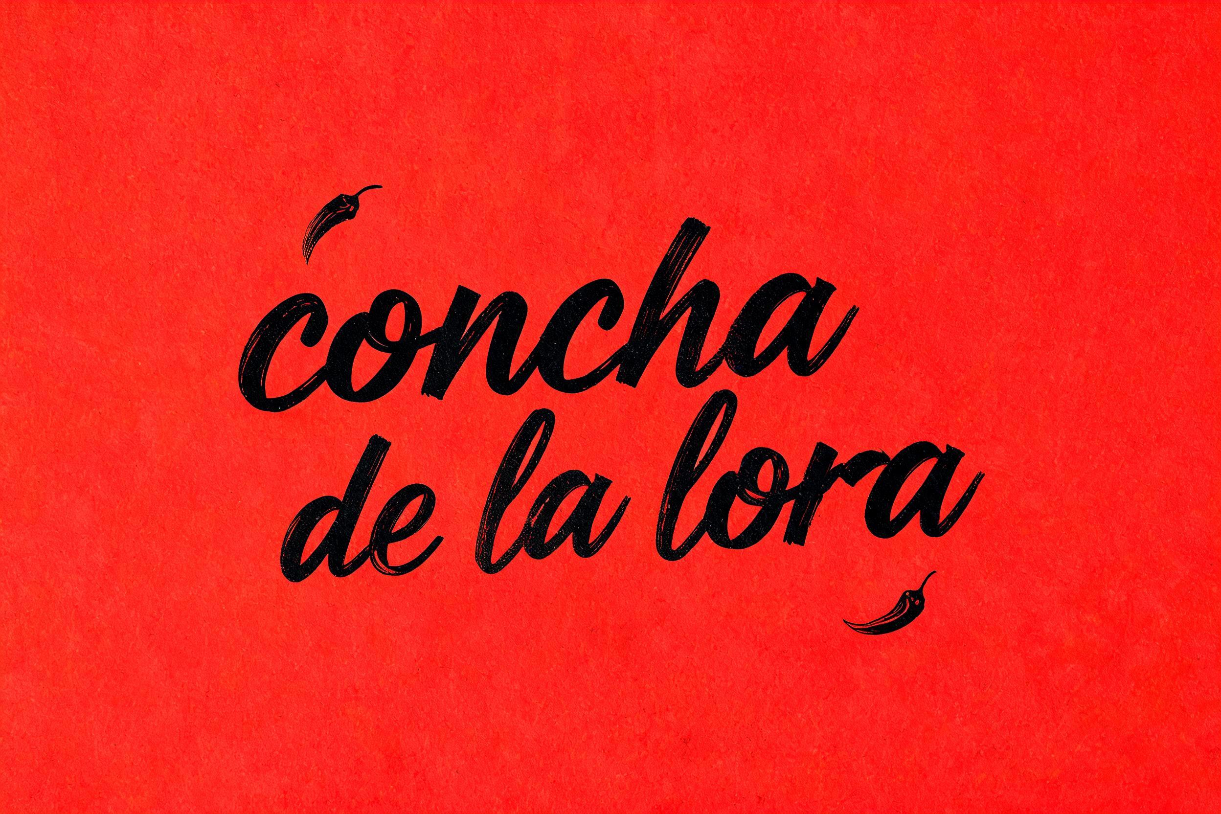 "concha de la lora" — Cursive Modern | AI Text Effect Generator