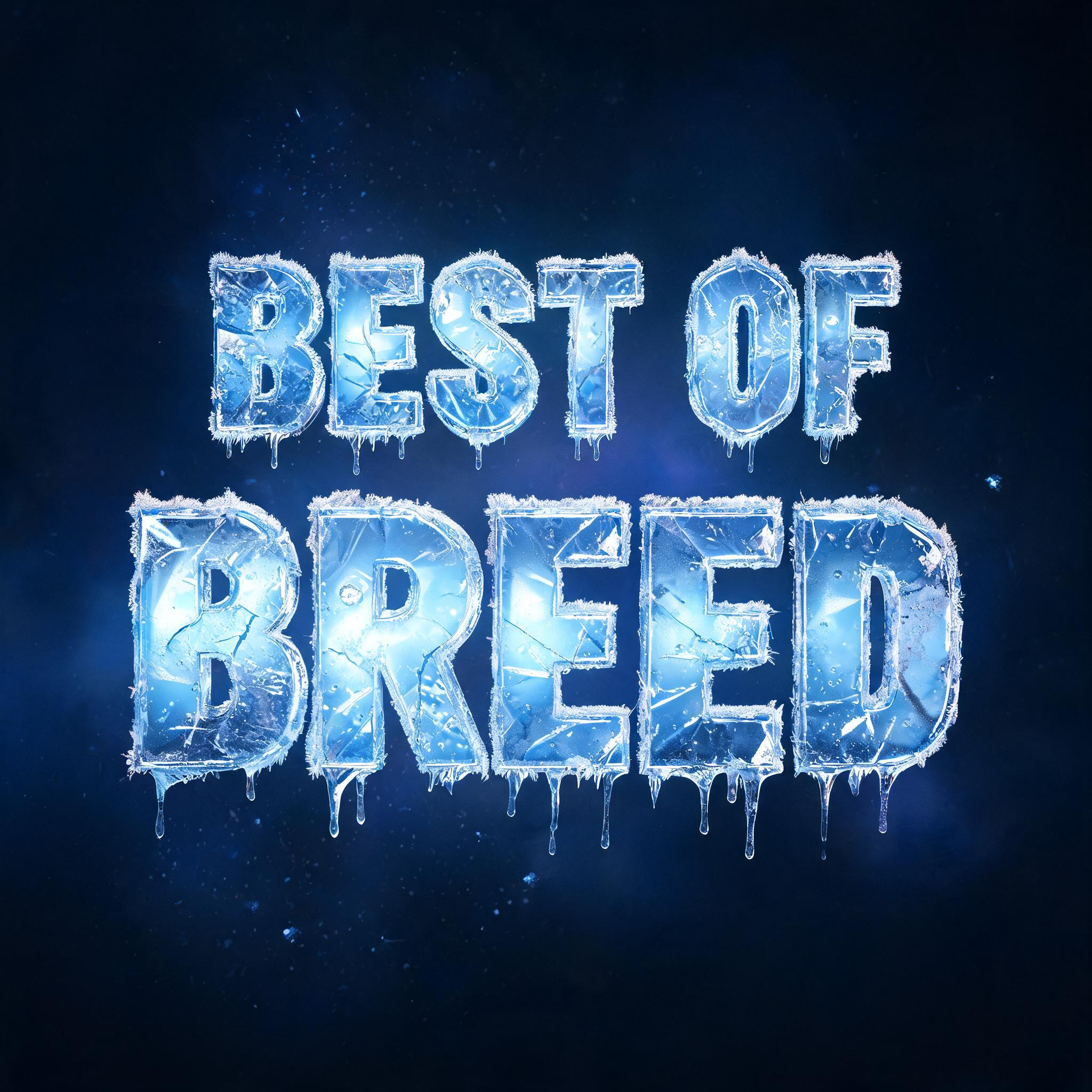 "BEST OF BREED" — Glass Frozen | AI Text Effect Generator