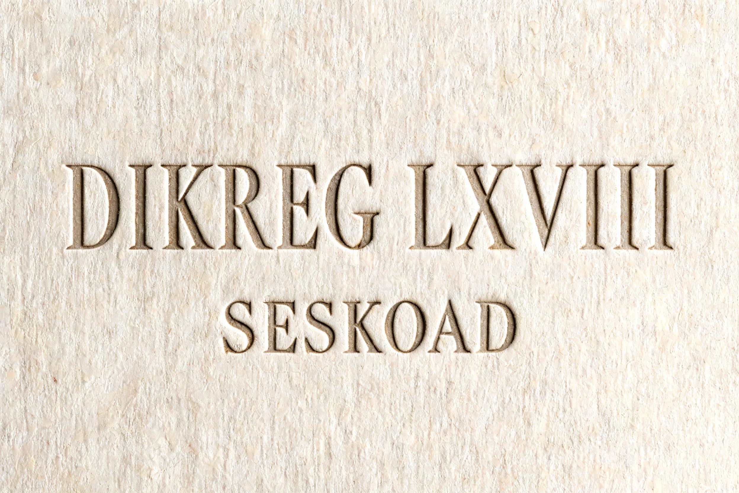 "DIKREG LXVIII 
SESKOAD" — Emboss | AI Text Effect Generator