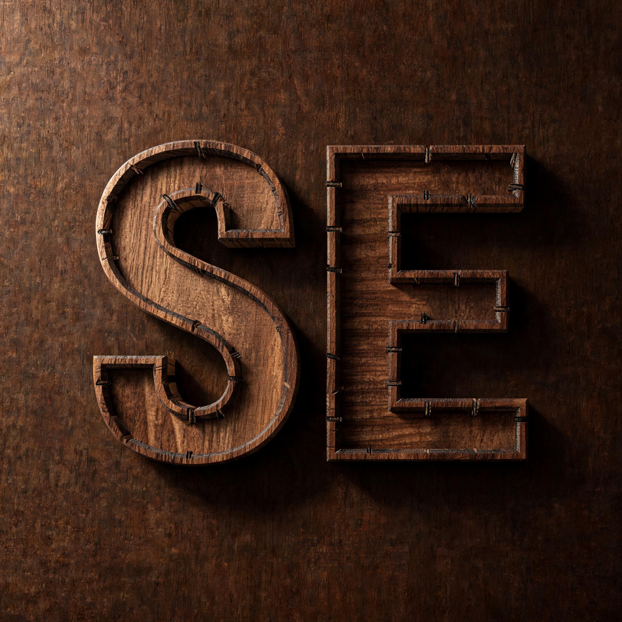 "SE" — Laser Cut | AI Text Effect Generator