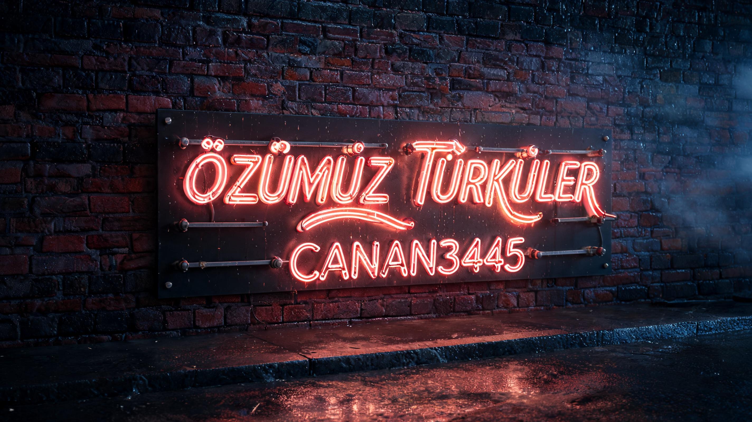 "ÖZÜMÜZ TÜRKÜLER
CANAN3445" — Neon Sign | AI Text Effect Generator