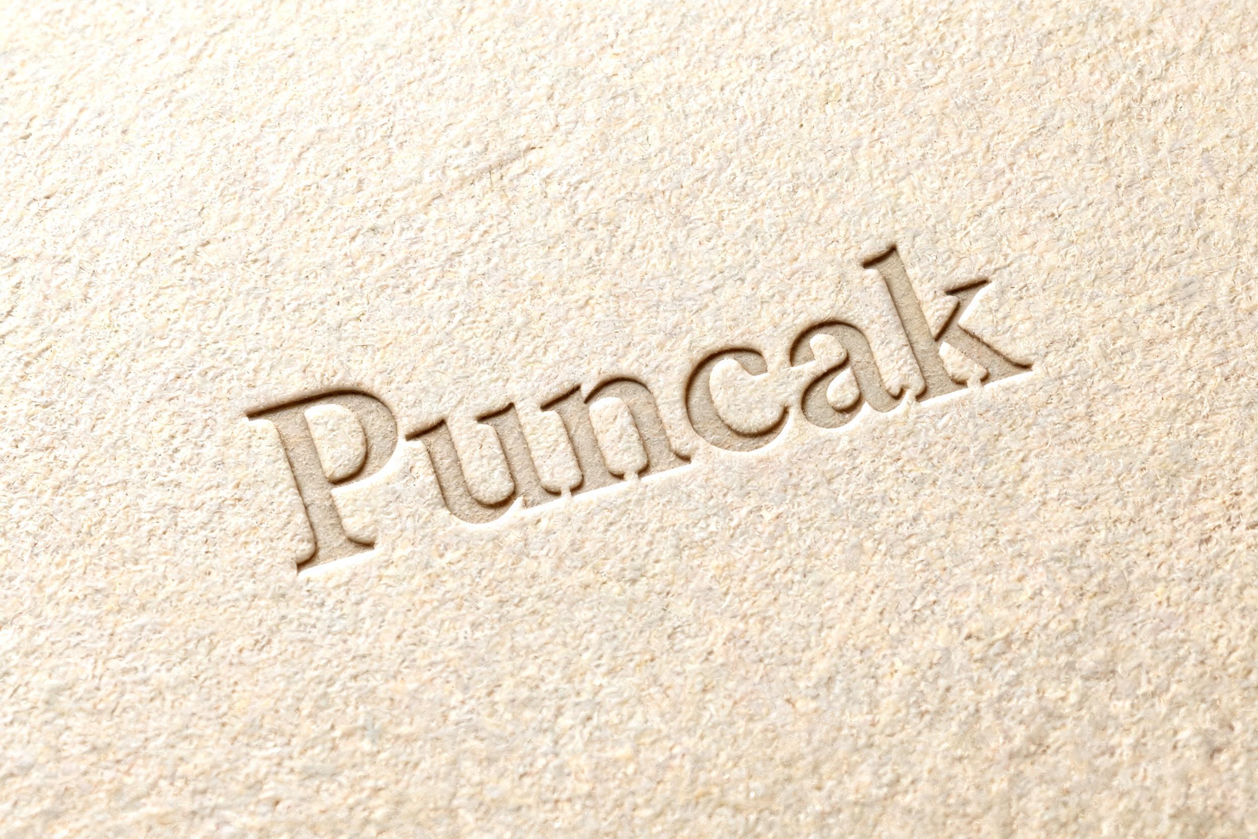 "Puncak" — Emboss | AI Text Effect Generator