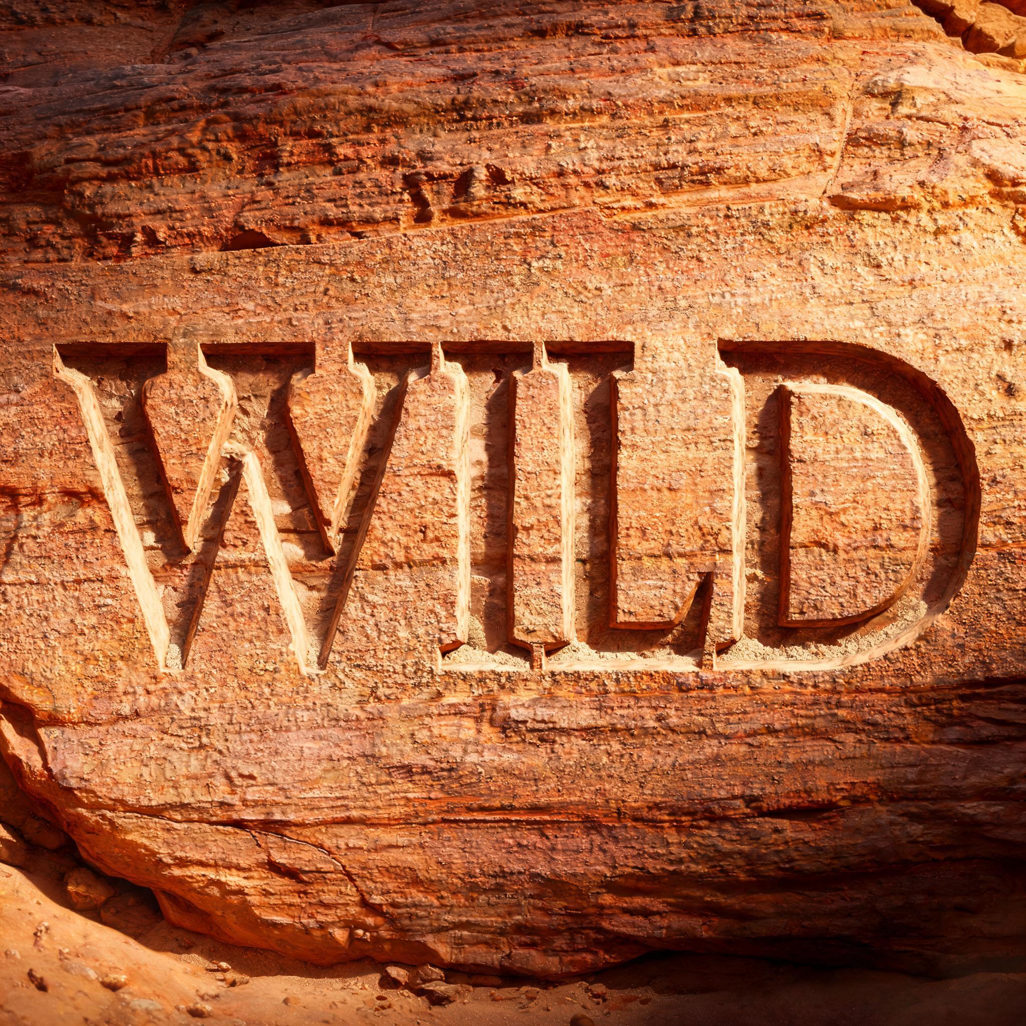 "WILD" — Sand Stone | AI Text Effect Generator